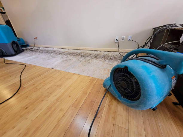 Professional Water Removal technician working in Brookline, NH